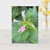 Tabaksbloesems Kaart (Gele Bloem)