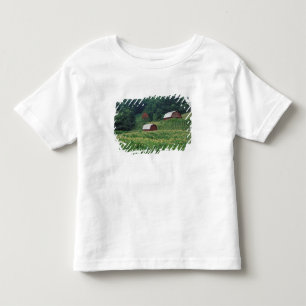Tabaksgewas en paar rode tabaksschuren nabij kinder shirts