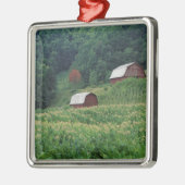 Tabakshandel en rode tabaksschuren in de buurt van metalen ornament (Links)