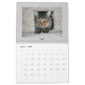 Tabakskatten Kalender (Mar 2027)