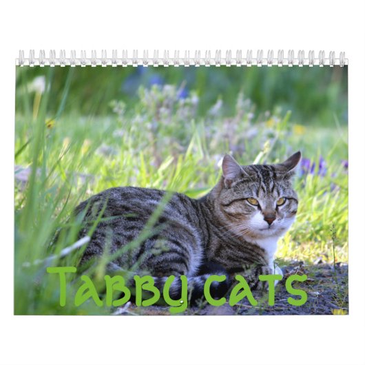 Tabakskatten Kalender (Hoes)