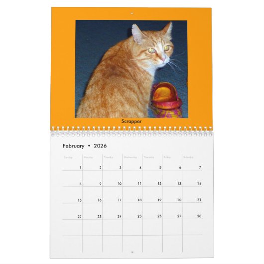 Tabakskatten Kalender (Feb 2026)
