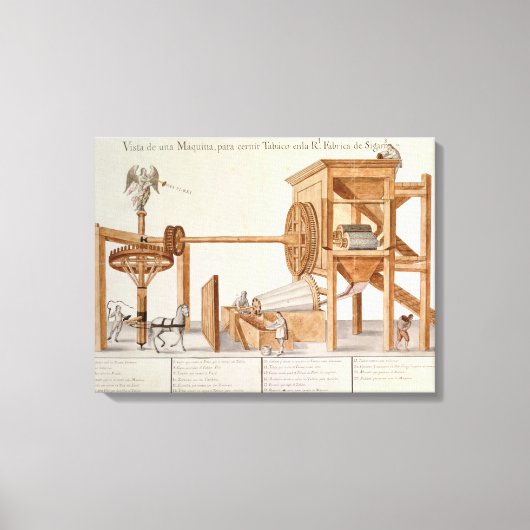 Tabakssnijmachine van de Royal Tobacco Canvas Afdruk (Voorkant)