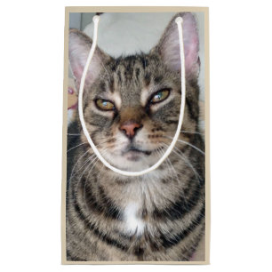 Tabblad Cat Cat Cft-tas Klein Cadeauzakje