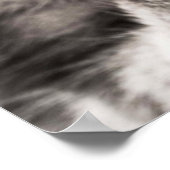 tabby-114782 tabby cat close-up portret feline an poster (Hoek)