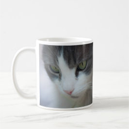 Tabby-and-White kat staring Koffiemok