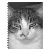 Tabby-and-White Notitieboek (Voorkant)