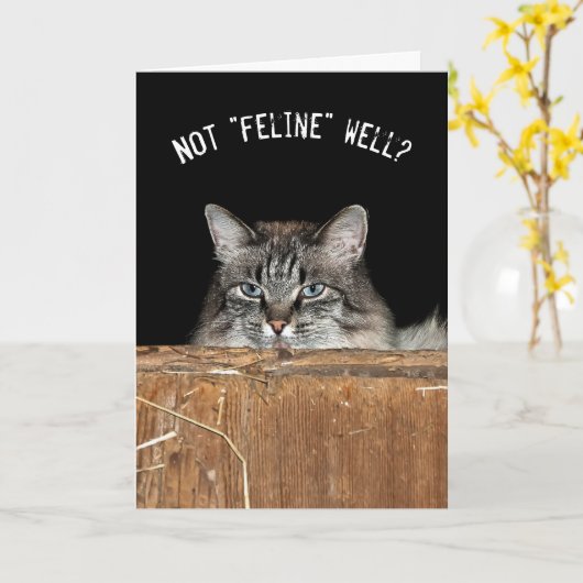 tabby barn cat in hay loft kaart (Gele Bloem)