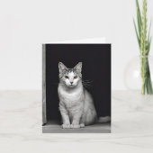 Tabby Barn Cat Notitiekaartje (Voorkant)