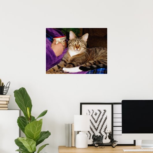 Tabby Break Poster (Thuiskantoor)