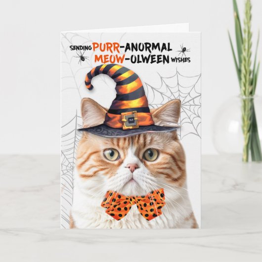 Tabby Britse Halloween Kat PURRanormale MEOWolween Feestdagen Kaart (Voorkant)