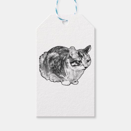 Tabby-cadeaubijslage met besneeuwde stippen cadeaulabel (Voorkant)