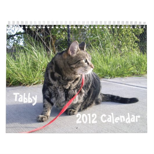Tabby Cat 2012 Agenda Kalender (Hoes)