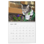 Tabby Cat 2012 Agenda Kalender (Mar 2027)