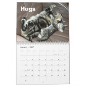 Tabby Cat 2012 Agenda Kalender (Jan 2027)