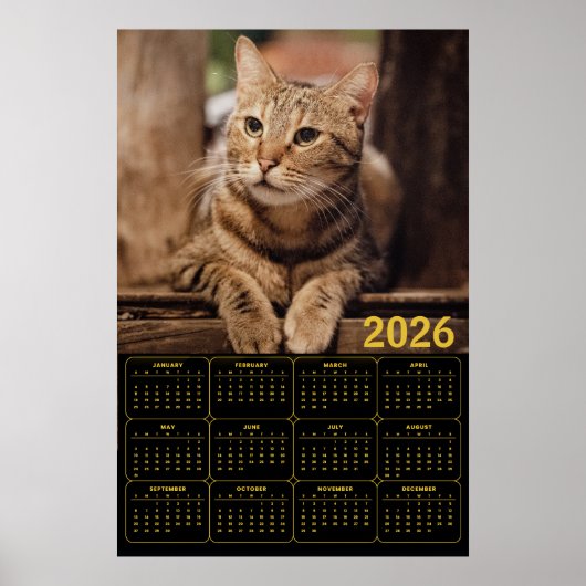 Tabby Cat 2026 Calendar Poster (Voorkant)