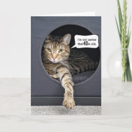 Tabby Cat 40th Birthday Humor Kaart