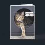 Tabby Cat 70th Birthday Humor Kaart<br><div class="desc">Grijze tabletkat in een kubieke doos met een spraakballon voor de 70ste verjaardag. Leeftijd kan worden bewerkt.</div>