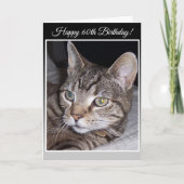 Tabby Cat Aangepast 60e Wenskaart op geboortedag Kaart (Voorkant)