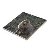 Tabby Cat Animal Pet Tegel met lang haar Tegeltje (Zijkant)