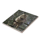 Tabby Cat Animal Pet Tegel met lang haar Tegeltje (Zijkant)