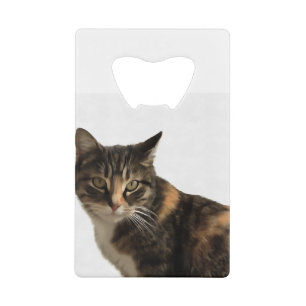 Tabby Cat Artistic Portret op witte achtergrond Creditkaart Flessenopener