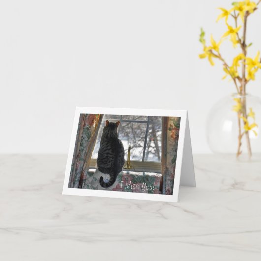 Tabby Cat at Snowy Window Kaart (Gele Bloem)