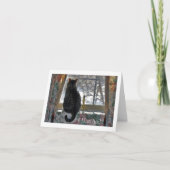 Tabby Cat at Snowy Window Kaart (Voorkant)