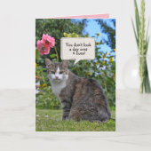 Tabby Cat Birthday humor Kaart (Voorkant)