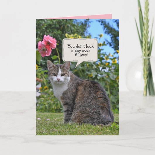 Tabby Cat Birthday humor Kaart (Voorkant)