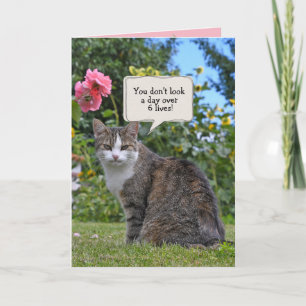 Tabby Cat Birthday humor Kaart