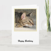 Tabby Cat Birthday Kaart (Voorkant)