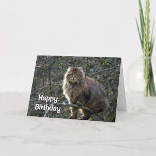 Tabby Cat Birthday Kaart met lange adem
