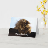 Tabby Cat Birthday Kaart met lange adem (Gele Bloem)