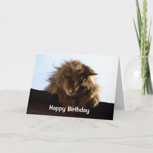 Tabby Cat Birthday Kaart met lange adem (Voorkant)