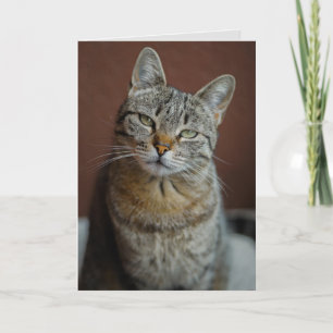 TABBY CAT BIRTHDAY-KAART VOOR BEAUTIFUME PERSOON KAART