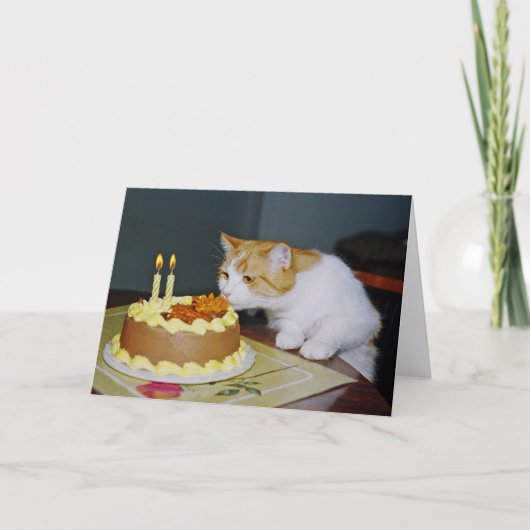 Tabby Cat Birthday Wenskaart Kaart (Voorkant)