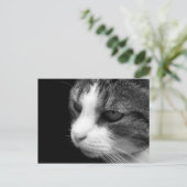 Tabby Cat Black & White Portret - Dierlijk Briefka Briefkaart (Staand voorkant)