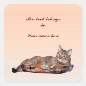 Tabby Cat Bookplate Vierkante Sticker (Voorkant)
