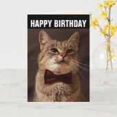 TABBY CAT BOW STROPDAS VERJAARDAG WENSKAART KAART (Gele Bloem)