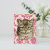Tabby cat briefkaart (Staand voorkant)