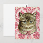 Tabby cat briefkaart (Voorkant / Achterkant)