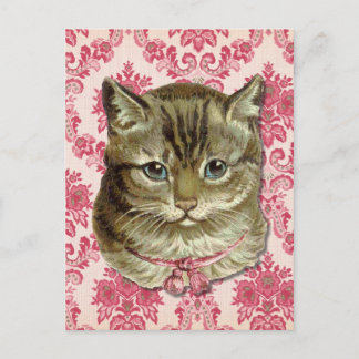 Tabby cat briefkaart