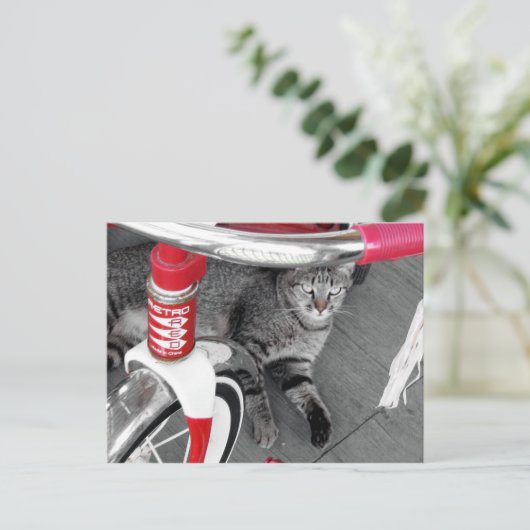 Tabby Cat Briefkaart (Staand voorkant)