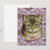 Tabby cat briefkaart (Voorkant / Achterkant)