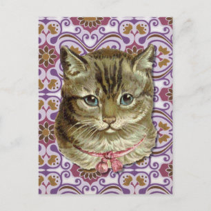 Tabby cat briefkaart