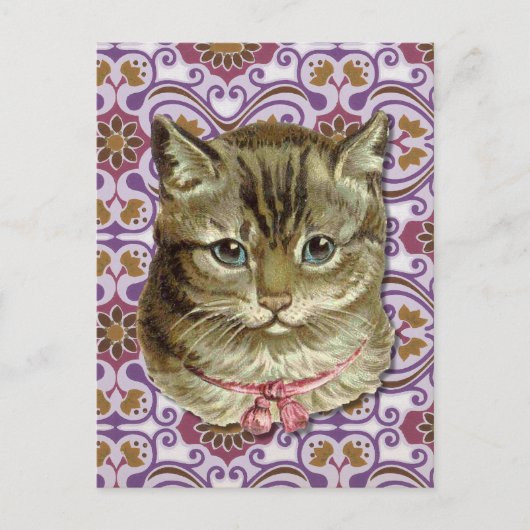Tabby cat briefkaart (Voorkant)