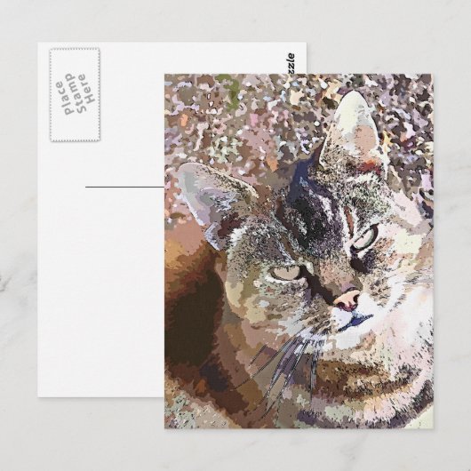 TABBY CAT BRIEFKAART (Voorkant / Achterkant)