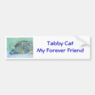 Tabby Cat Bumpersticker