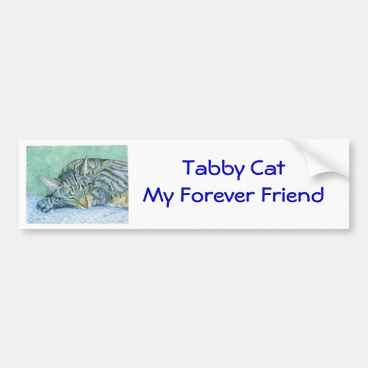 Tabby Cat Bumpersticker (Voorkant)
